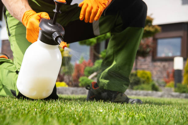 Best Pest Control Treatment  in , DE